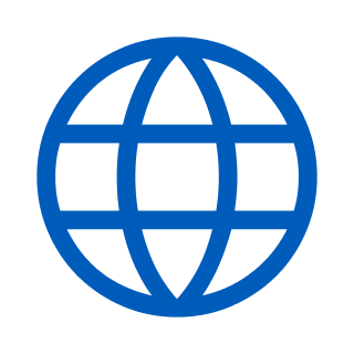 Icon of a globe, representing “enable global access