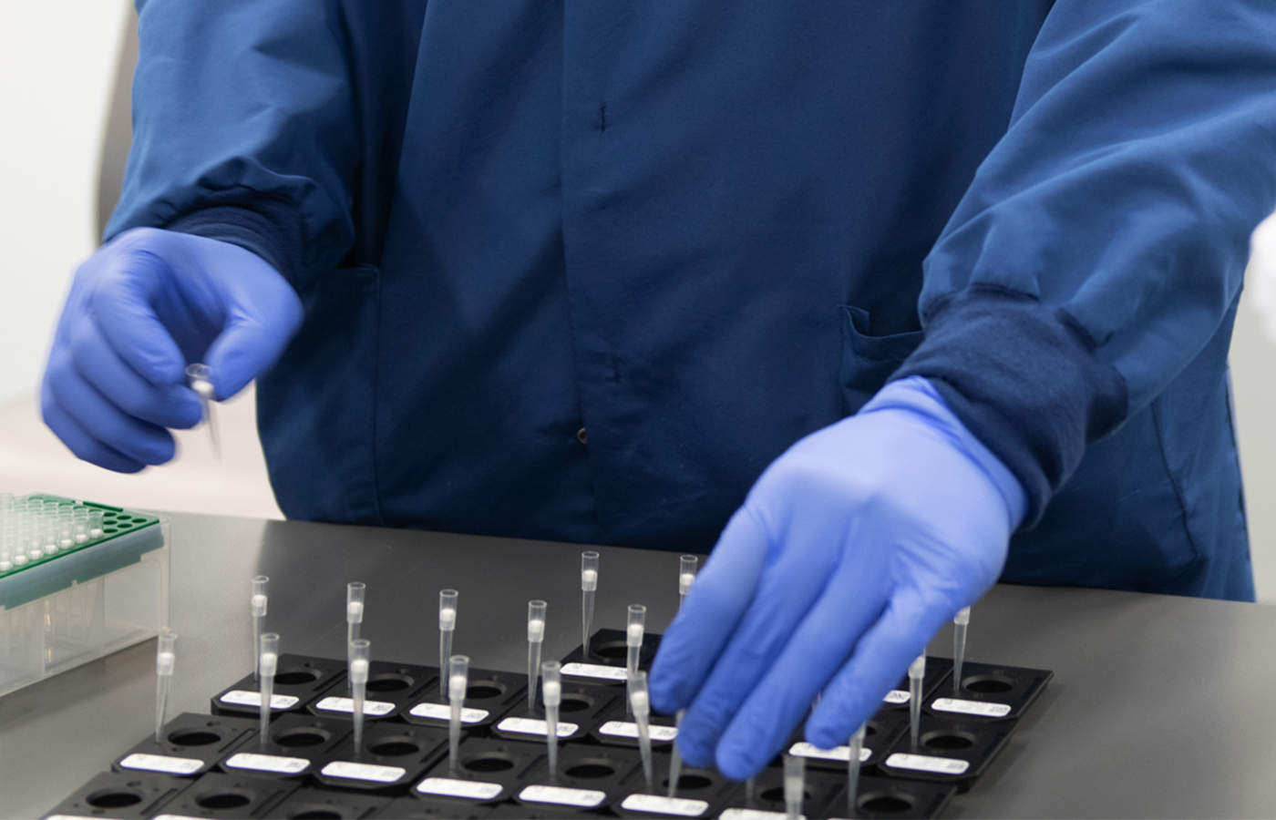 Lab employee works with samples in a collection.