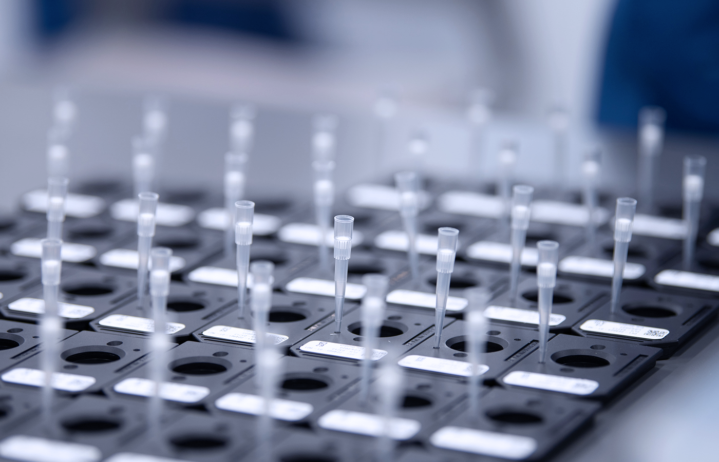 A collection of test samples on a tray.