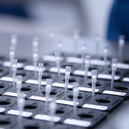 A collection of test samples on a tray.