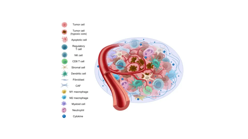tumor microenvironment illustration