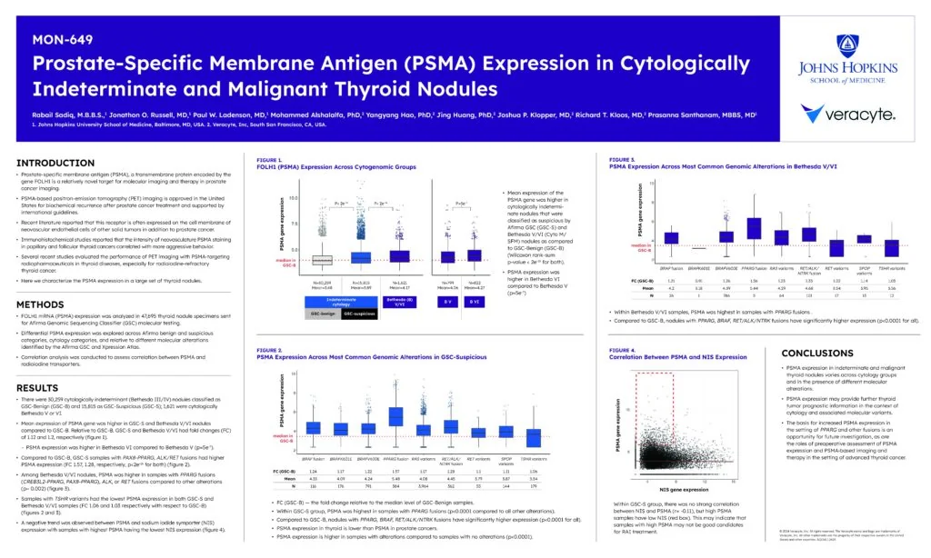 ENDO-2024-PSMA-pdf-1024×614